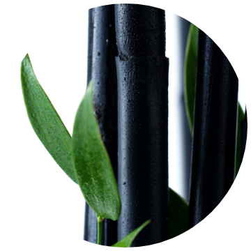 Precision-Milled Bamboo Grains
