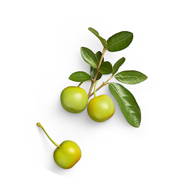 Cerezas Acerolas Verdes Nutrilite