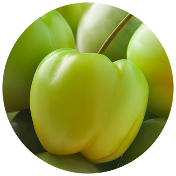 Acerola
