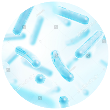 Tecnología Hidroprobiótica