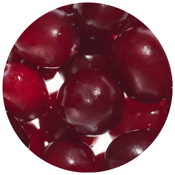 Cranberry Biopeptide