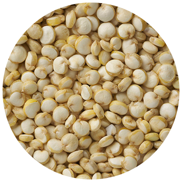 Quinoa Seeds